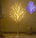 Hairui Lighted Birch Tree with 200L Multi Color and Warm White Fairy Lights 8 Functions 4FT, White Twig Tre